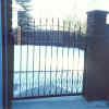 Arched Fence-gate, with ornamental wrought iron filling in the bottom to contain pets
